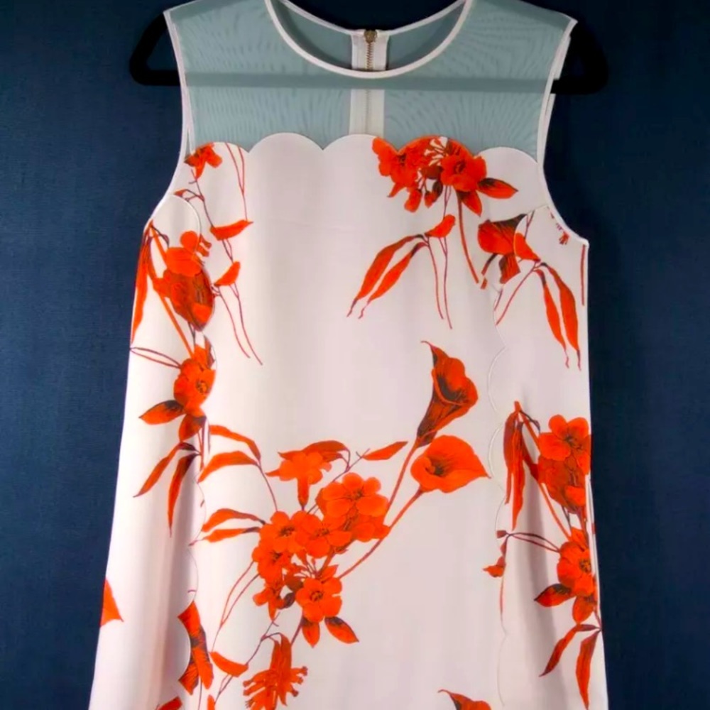 Ted Baker Scallop Mini Dress - EUC